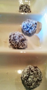 The coconut power balls, they went so fast because they taste so good!