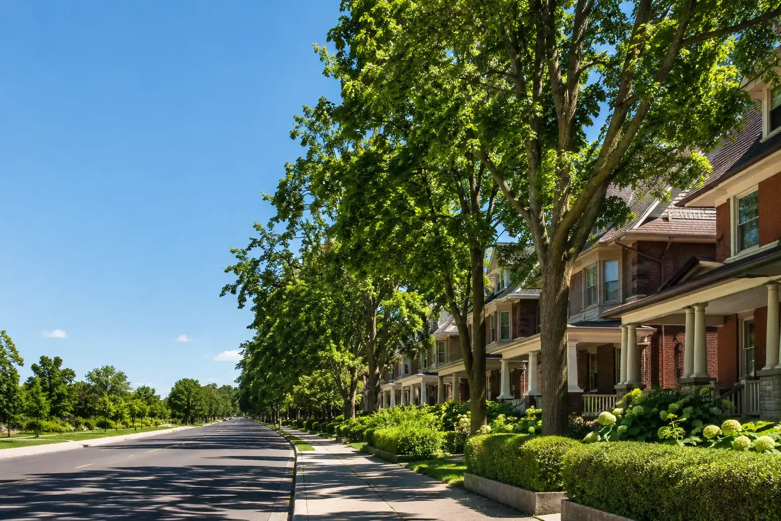 A tree-lined street of established Ottawa homes in summer, owners weighing a mortgage renewal Ottawa lenders hope they sign