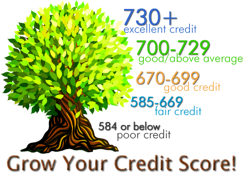 11 Steps to Help Get your Credit Back in Order
